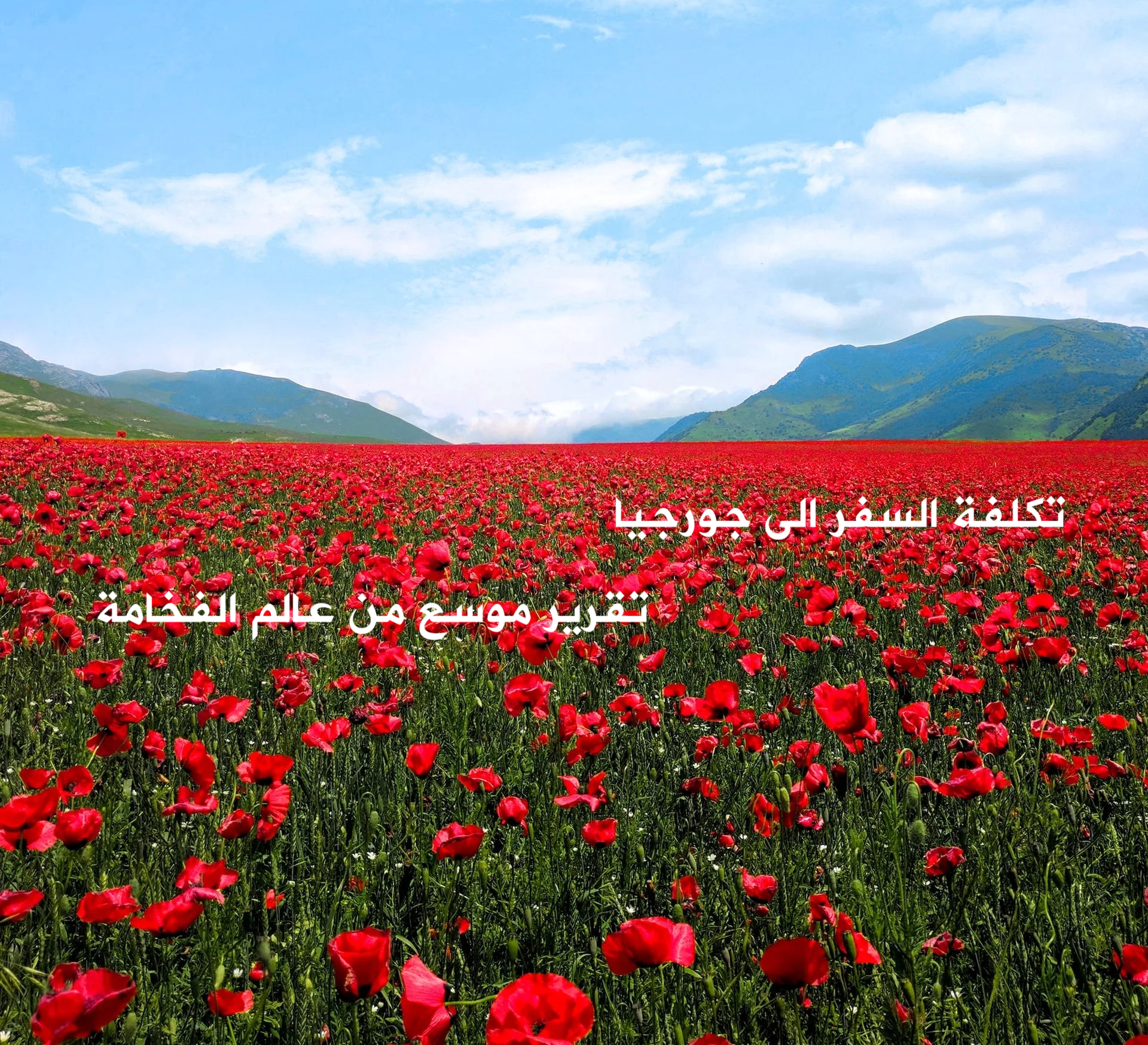 تكلفة السفر الى جورجيا