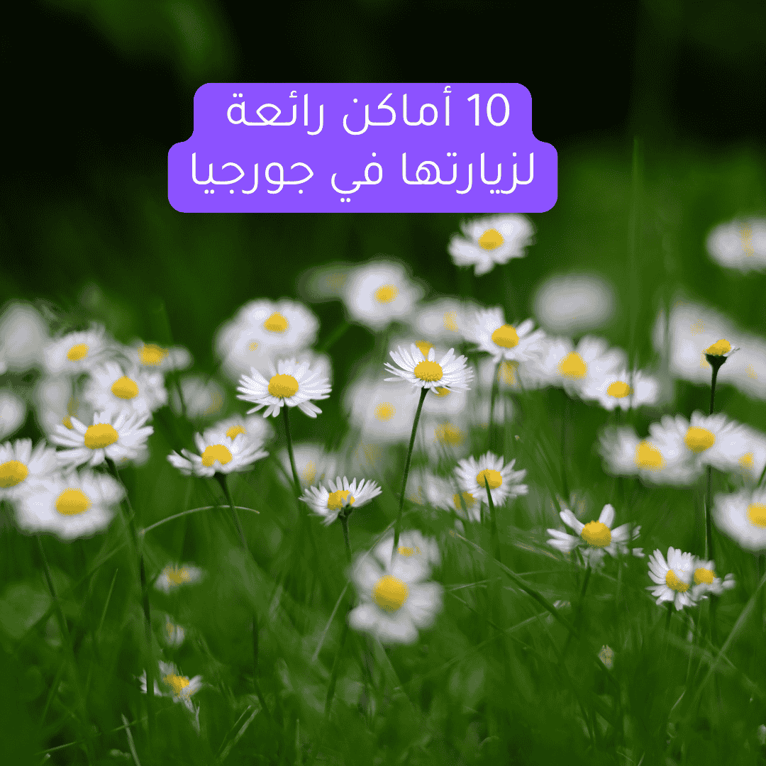 10 أماكن رائعة لزيارتها في جورجيا